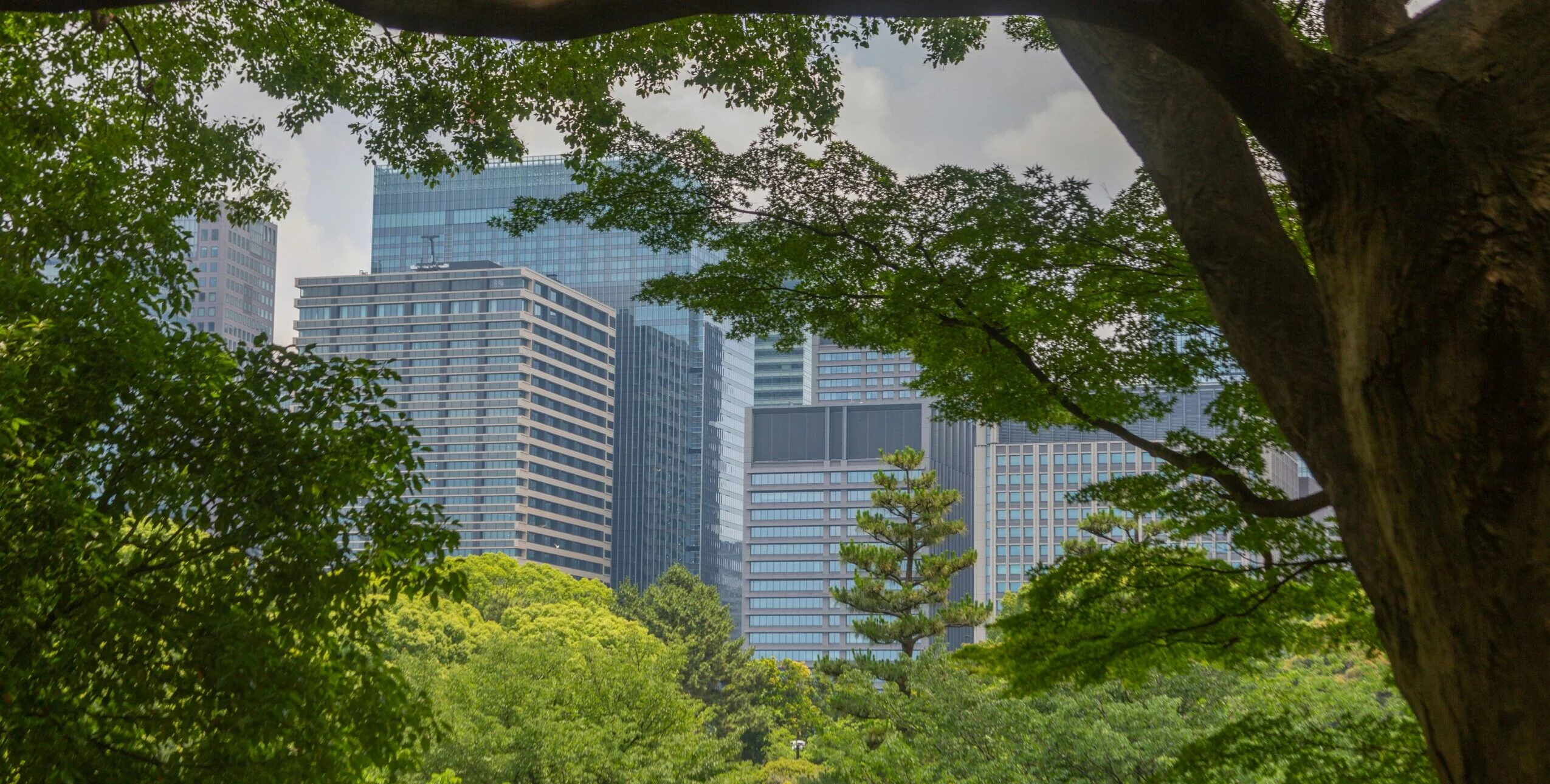 PROFESSIONAL CERTIFICATE on Nature for Cities              – 3rd Edition